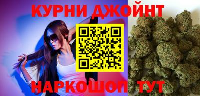 МДПВ Новозыбков