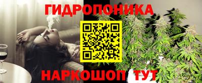 МДПВ Новозыбков