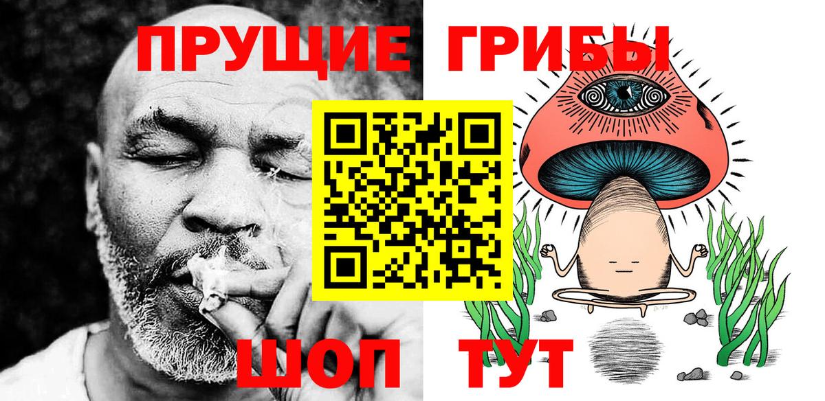 Псилоцибиновые грибы GOLDEN TEACHER  купить наркотик  Старая Купавна  Галлюциногенные грибы мицелий  Вход с VPN 