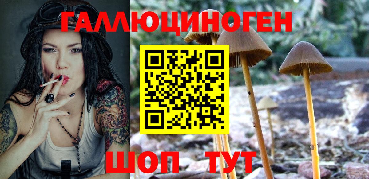 Галлюциногенные грибы Psilocybe Старая Купавна